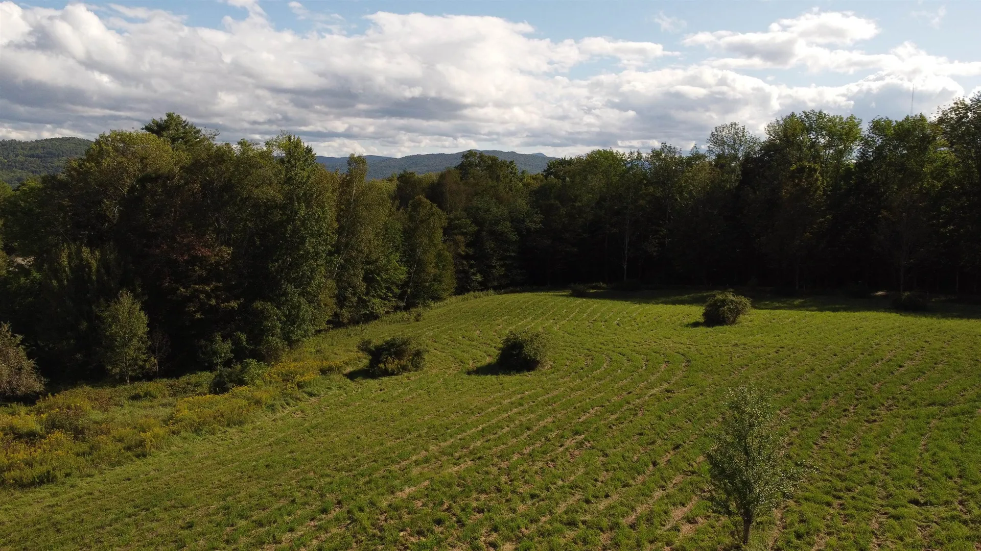 1184 Blush Hill Road Waterbury VT 05676