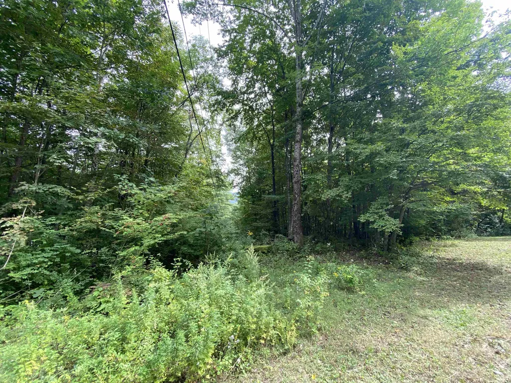 67 Cedar Rock Road Arlington VT 05250