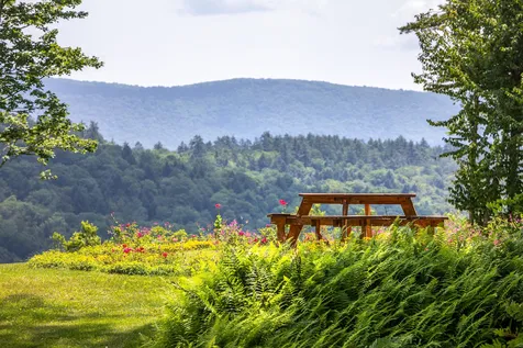 1370 Spring Hill Road Londonderry VT 05155