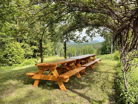 1370 Spring Hill Road Londonderry VT 05155