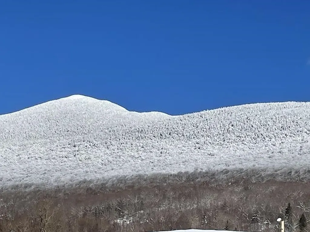 123 Geary Road Lincoln VT 05443