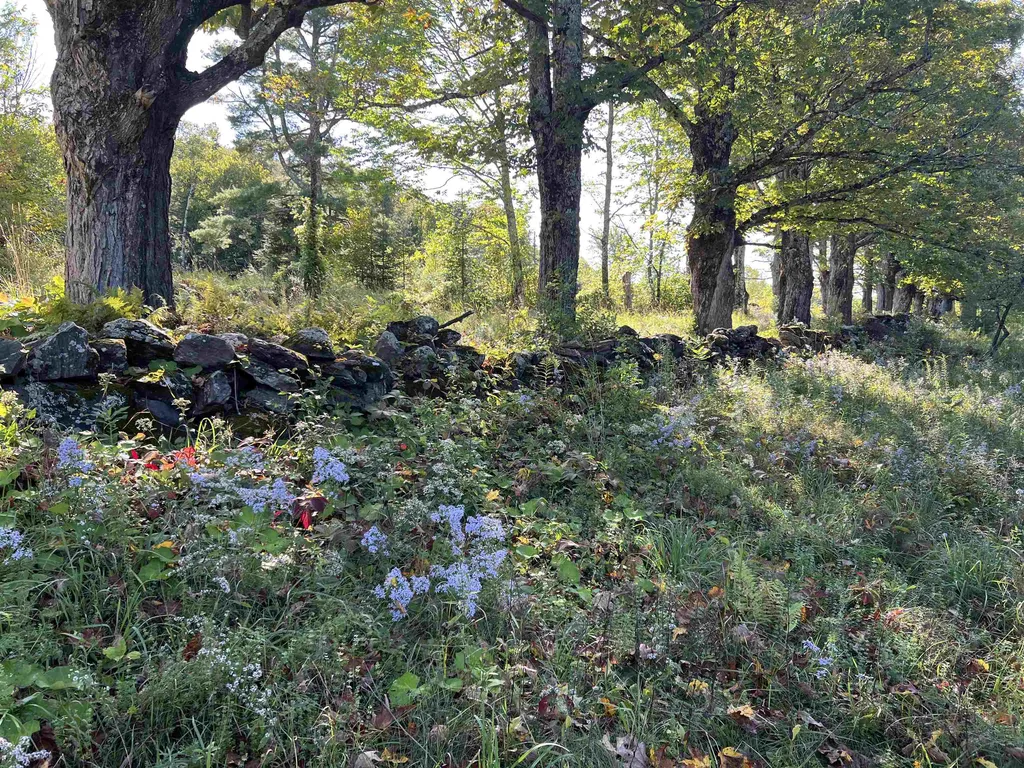 760 Maple Hill Road Mount Holly VT 05758