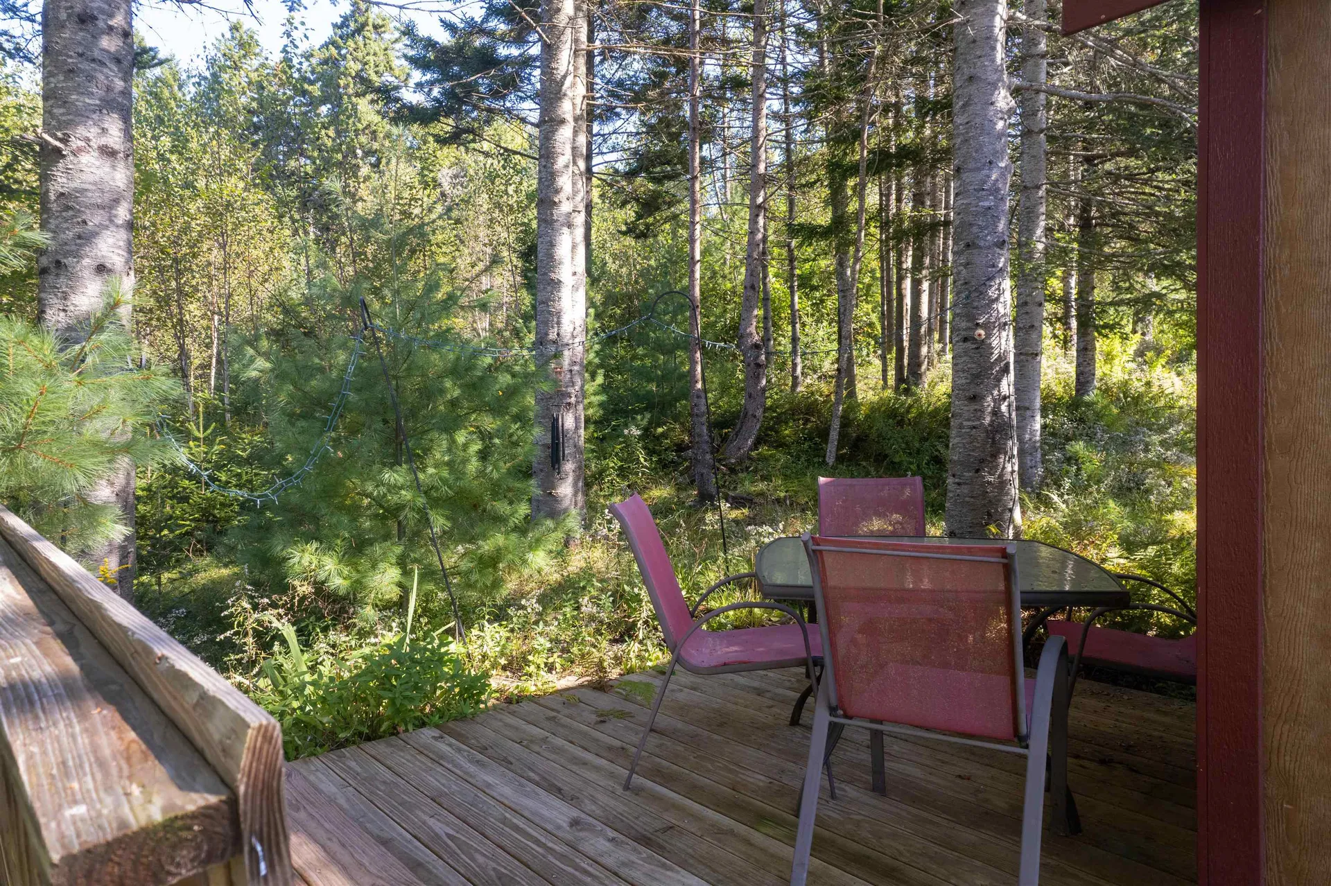 760 Maple Hill Road Mount Holly VT 05758