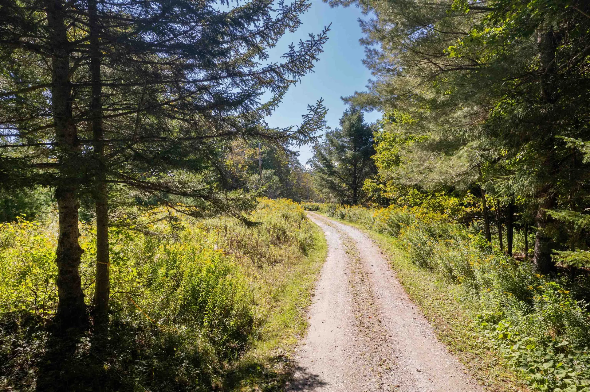 760 Maple Hill Road Mount Holly VT 05758