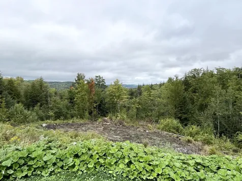 637 Dexter Mountain Road Glover VT 05839