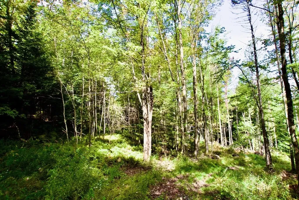 0 Luce Hill Road Stowe VT 05672