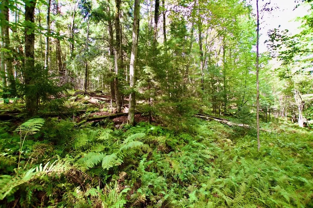 0 Luce Hill Road Stowe VT 05672