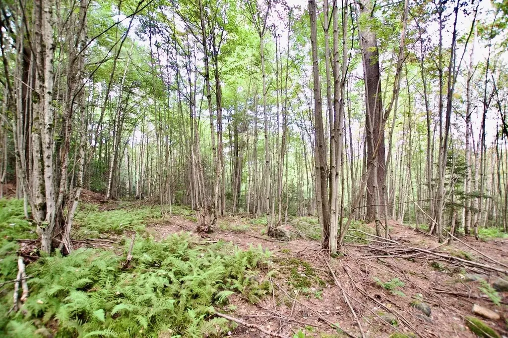 0 Luce Hill Road Stowe VT 05672