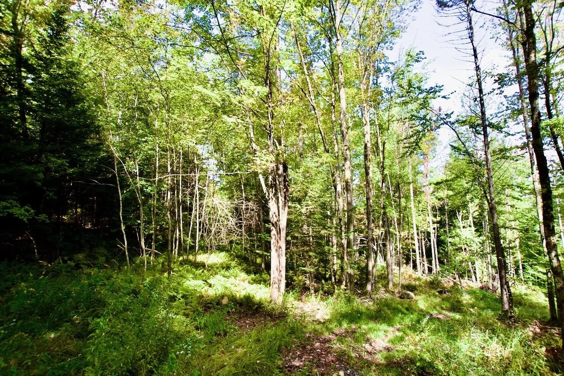 0 Luce Hill Road Stowe VT 05672