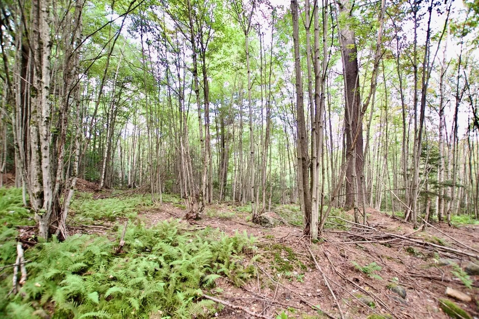 0 Luce Hill Road Stowe VT 05672