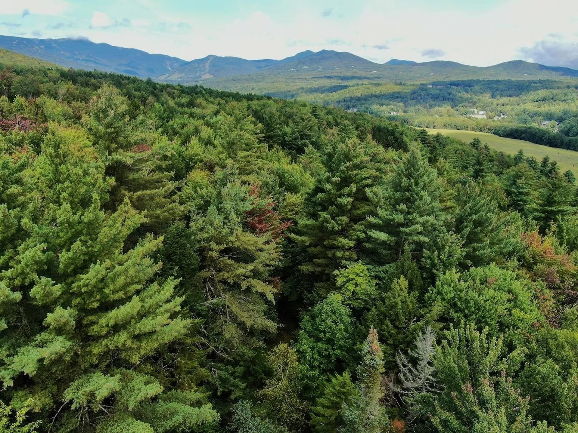 0 Luce Hill Road Stowe VT 05672