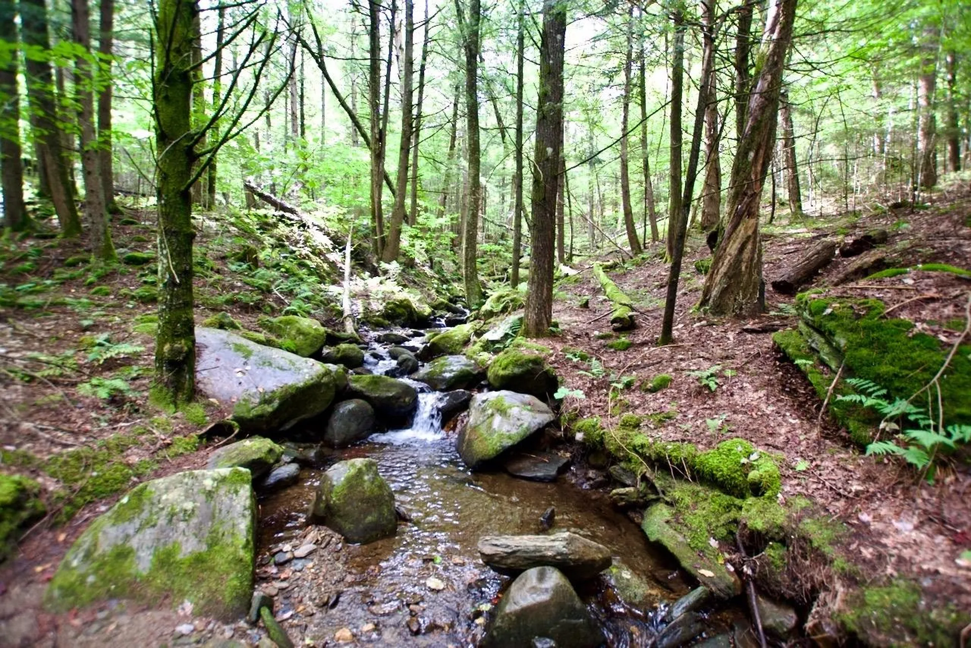 0 Luce Hill Road Stowe VT 05672