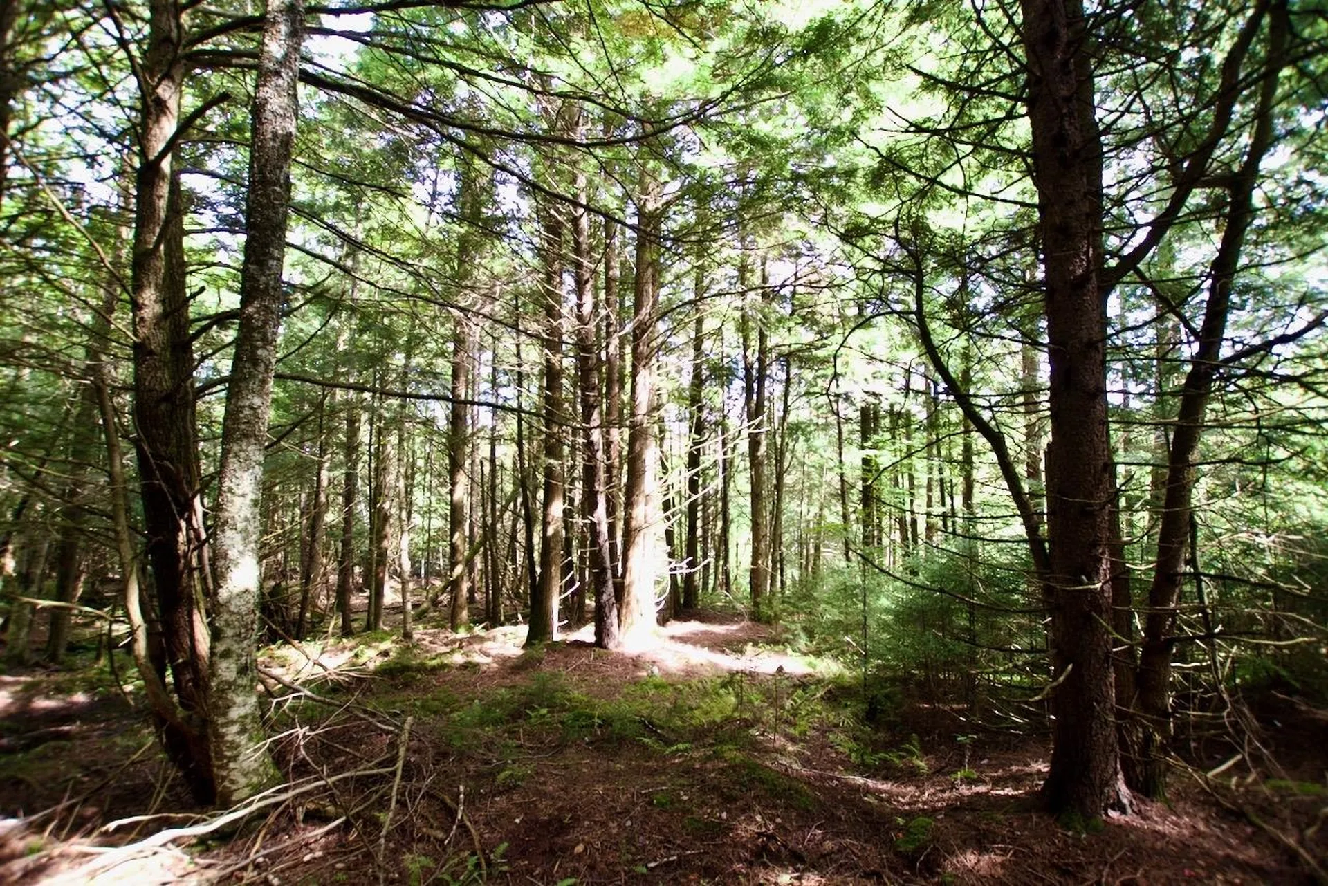 0 Luce Hill Road Stowe VT 05672