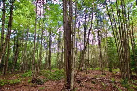 0 Luce Hill Road Stowe VT 05672
