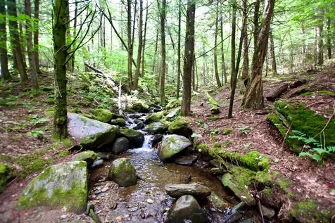 0 Luce Hill Road Stowe VT 05672
