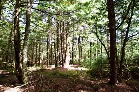 0 Luce Hill Road Stowe VT 05672