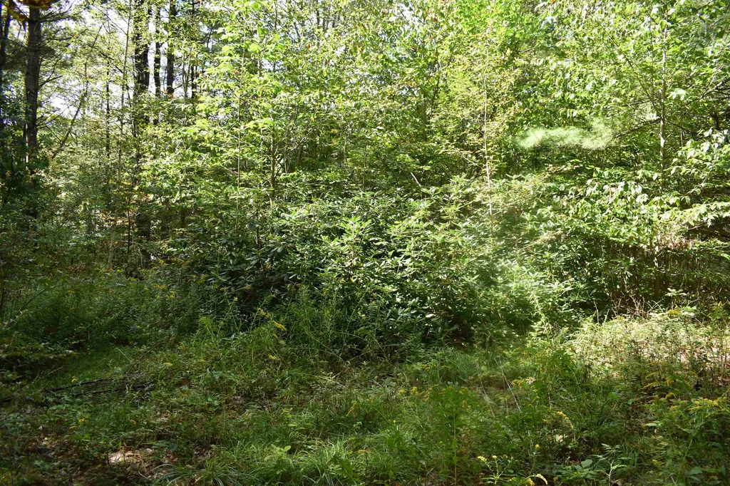 21 Bonner Road Plainfield NH 03770