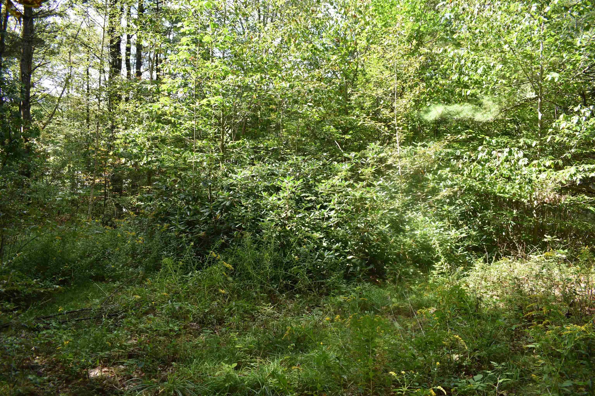 21 Bonner Road Plainfield NH 03770