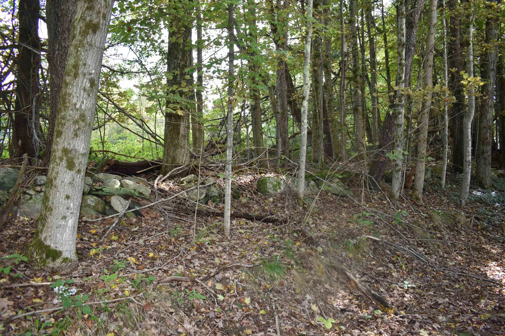 21 Bonner Road Plainfield NH 03770