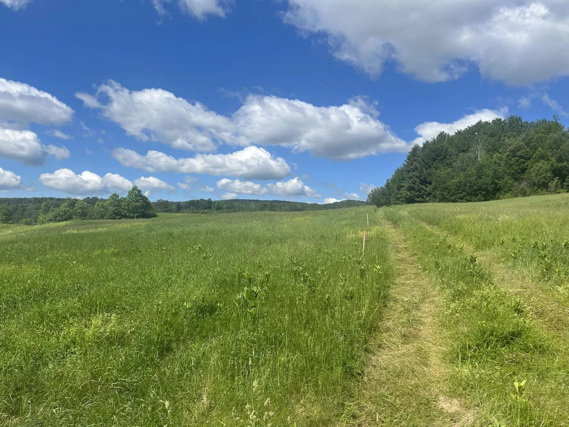 0 Alderbrook Road Coventry VT 05825