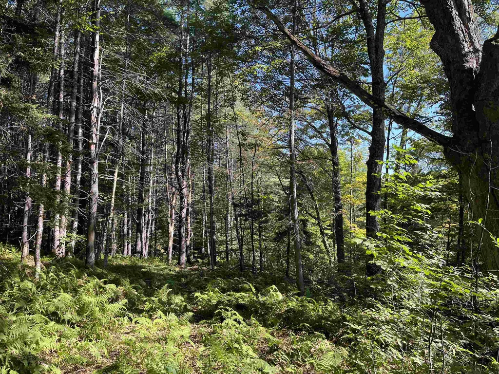 0 Chaos Turnpike Cavendish VT 05142