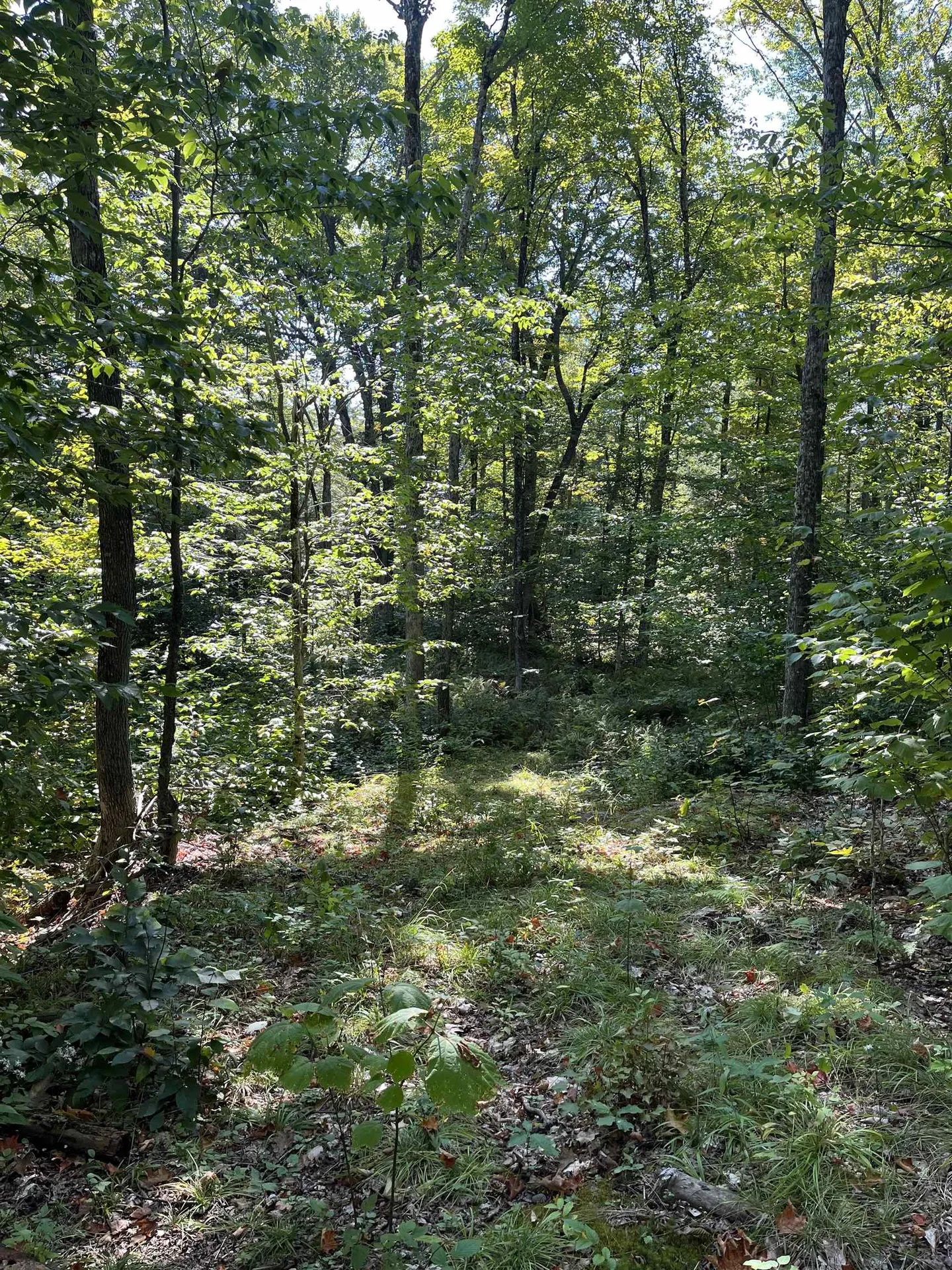 0 Chaos Turnpike Cavendish VT 05142
