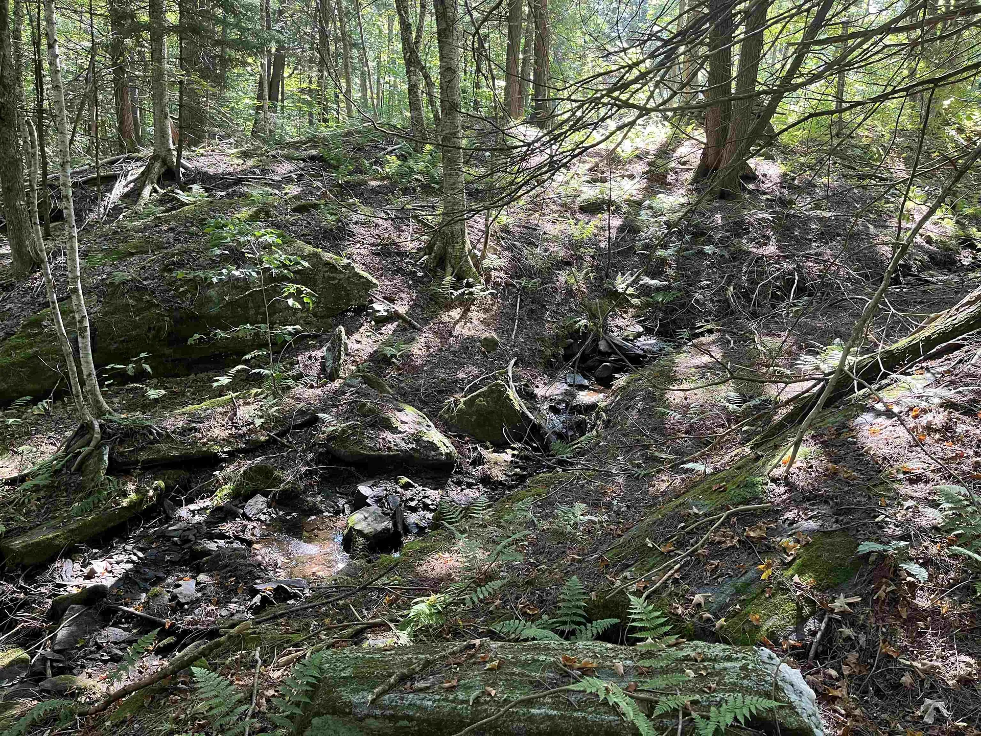 0 Chaos Turnpike Cavendish VT 05142