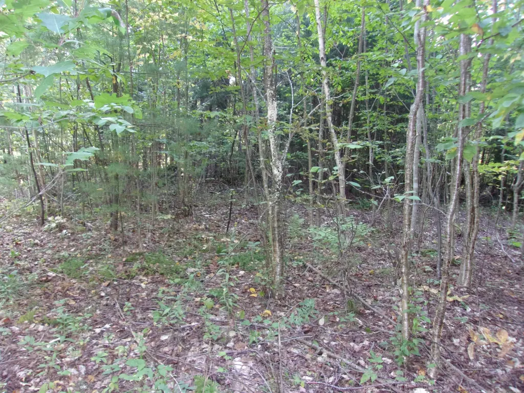 Fenn Way Circle Bath NH 03740