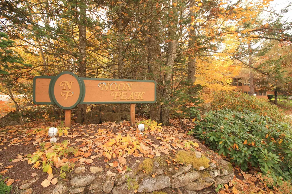 23 Hillside Way Waterville Valley NH 03215