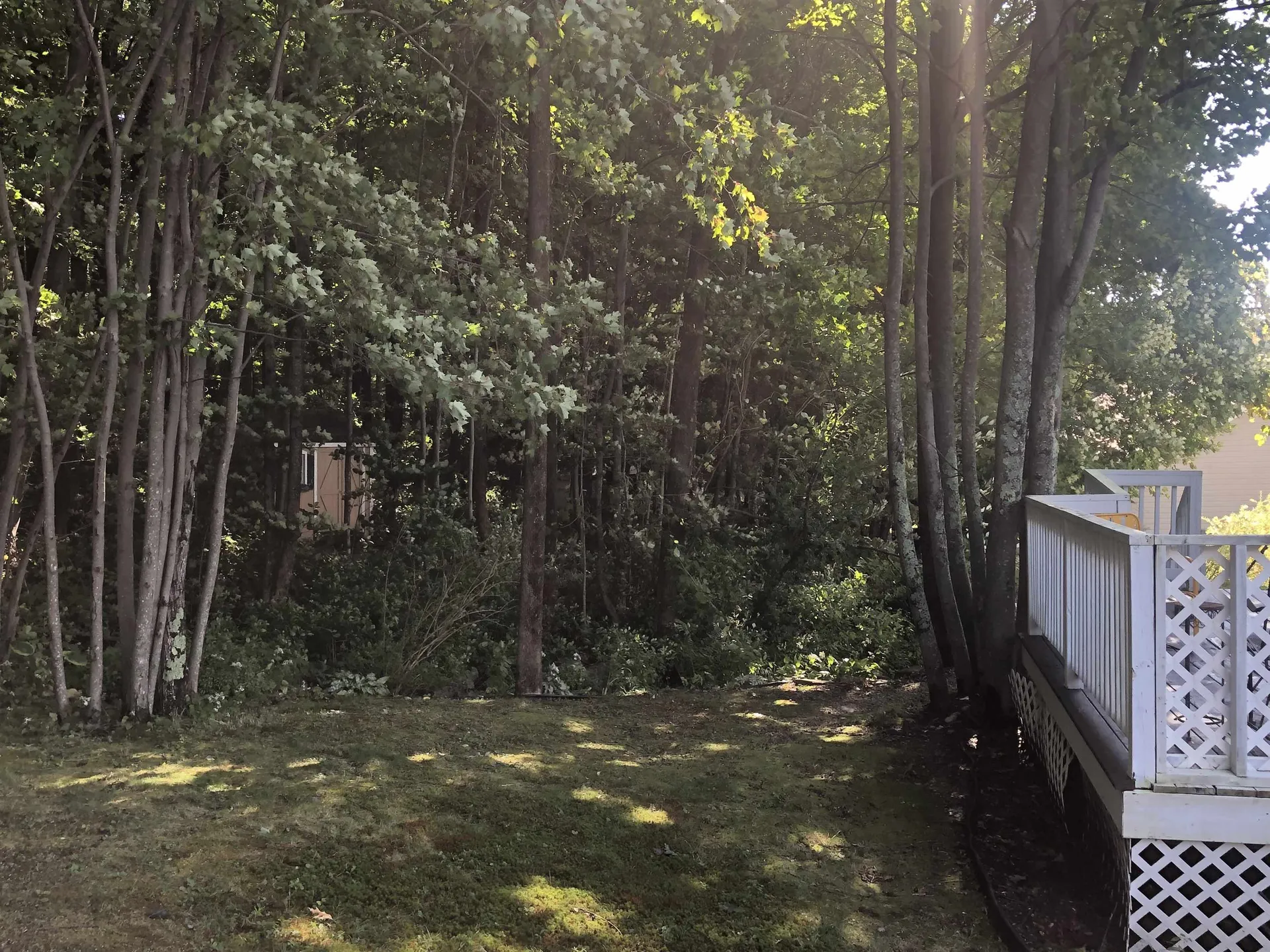 43 Deer Run Lane Northwood NH 03261