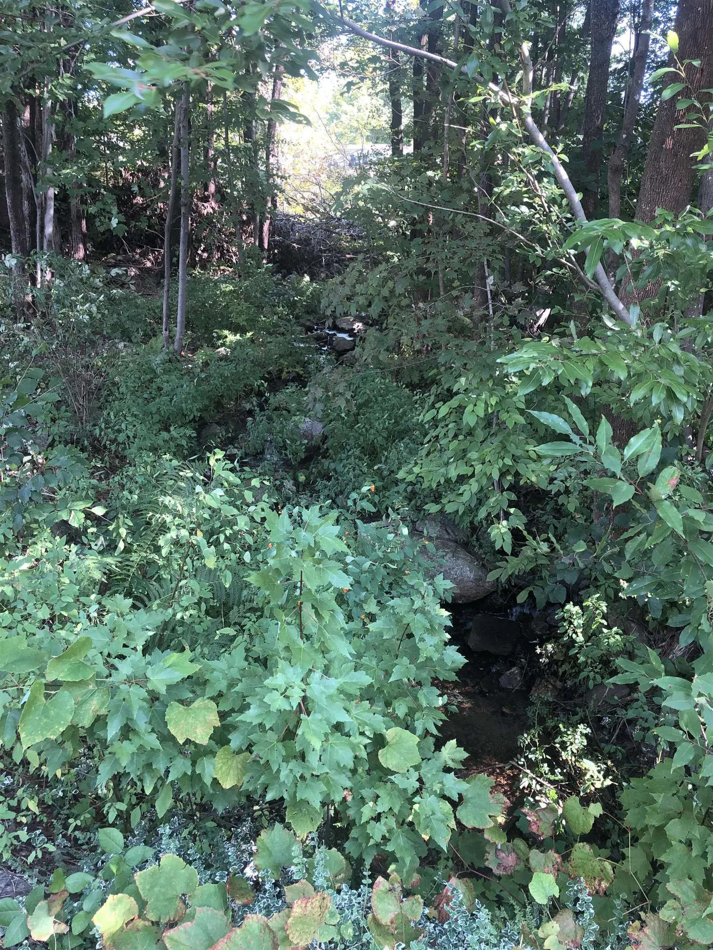 43 Deer Run Lane Northwood NH 03261