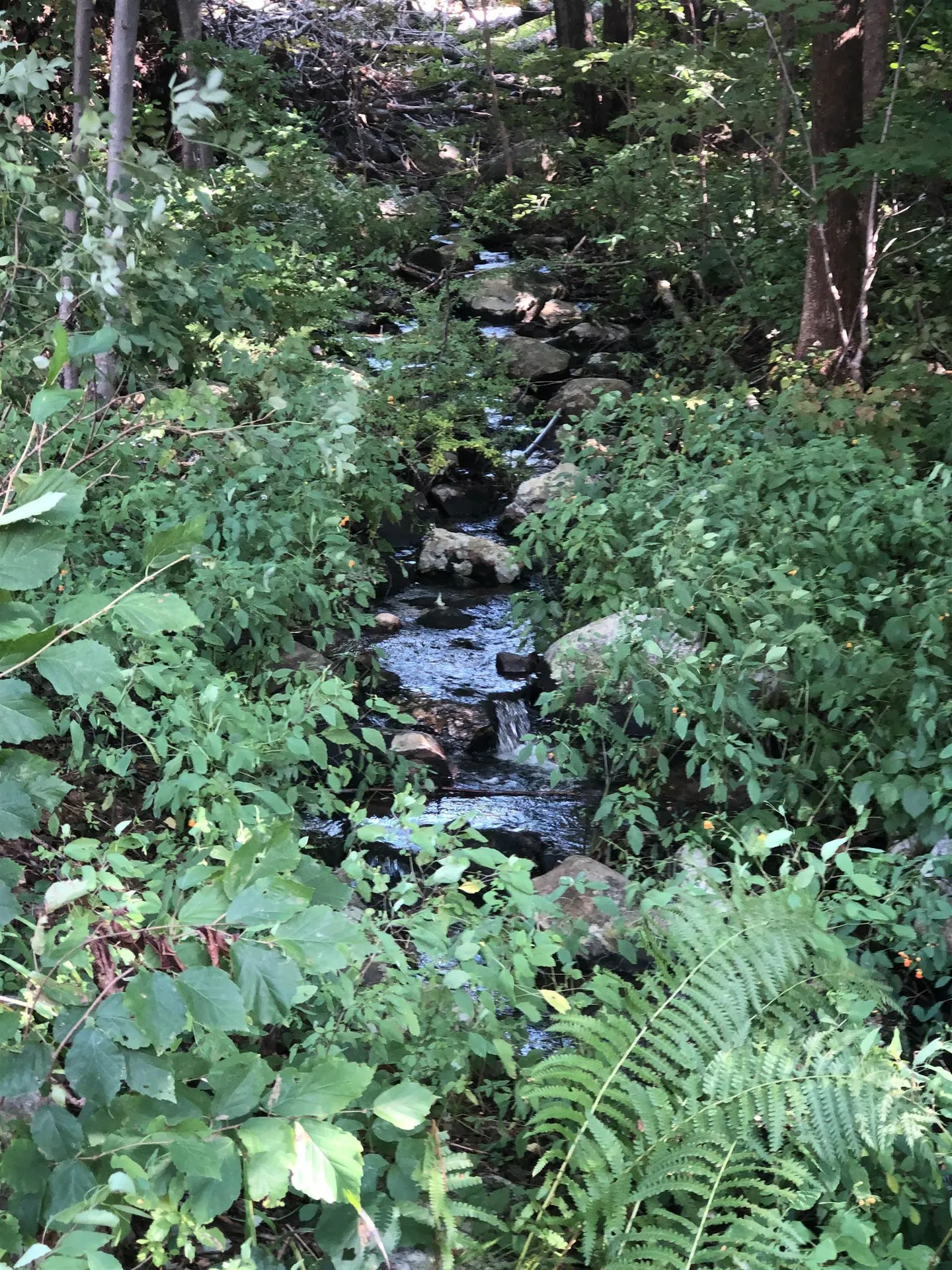 43 Deer Run Lane Northwood NH 03261