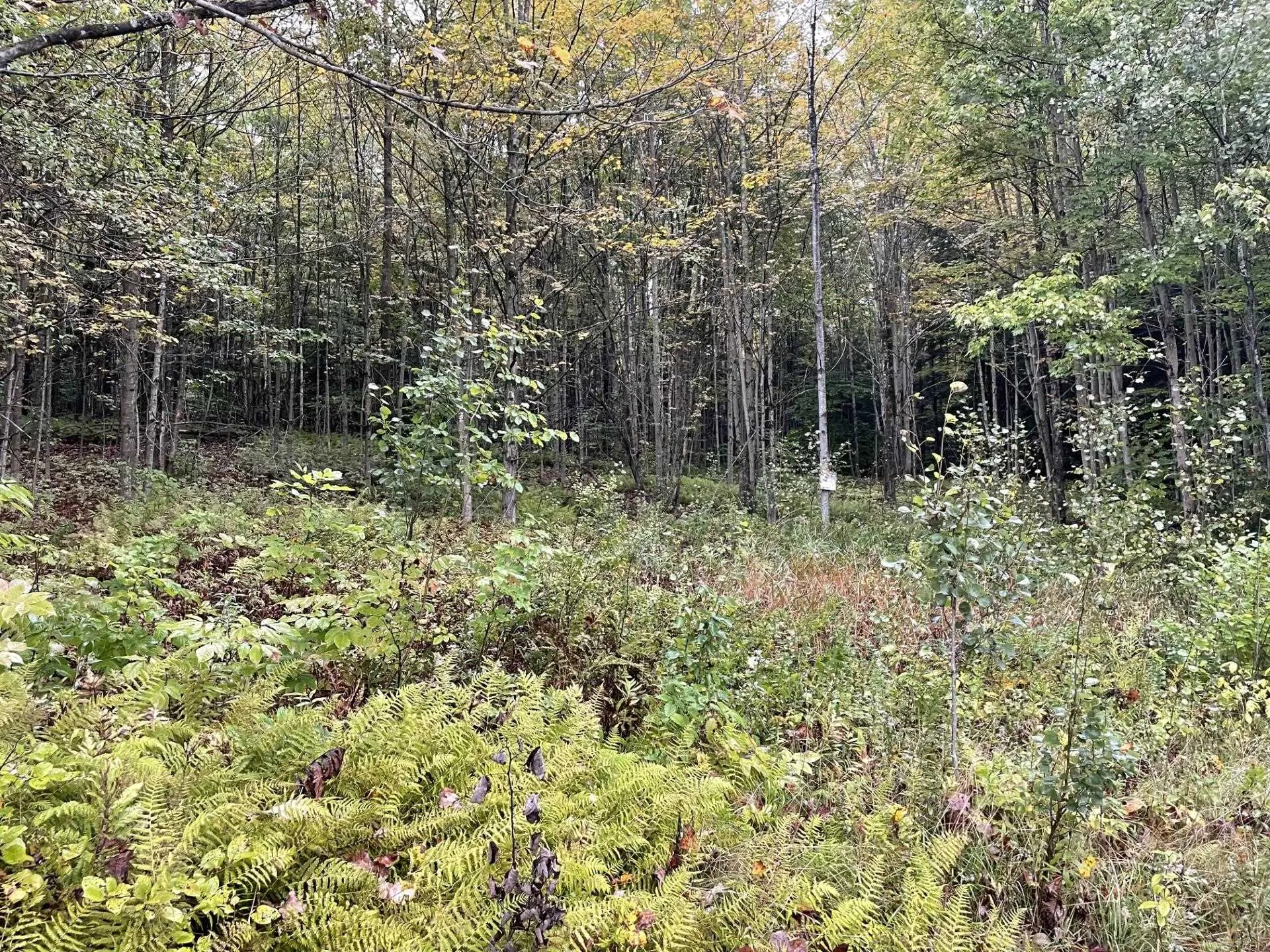 00 Black Falls Road Montgomery VT 05470