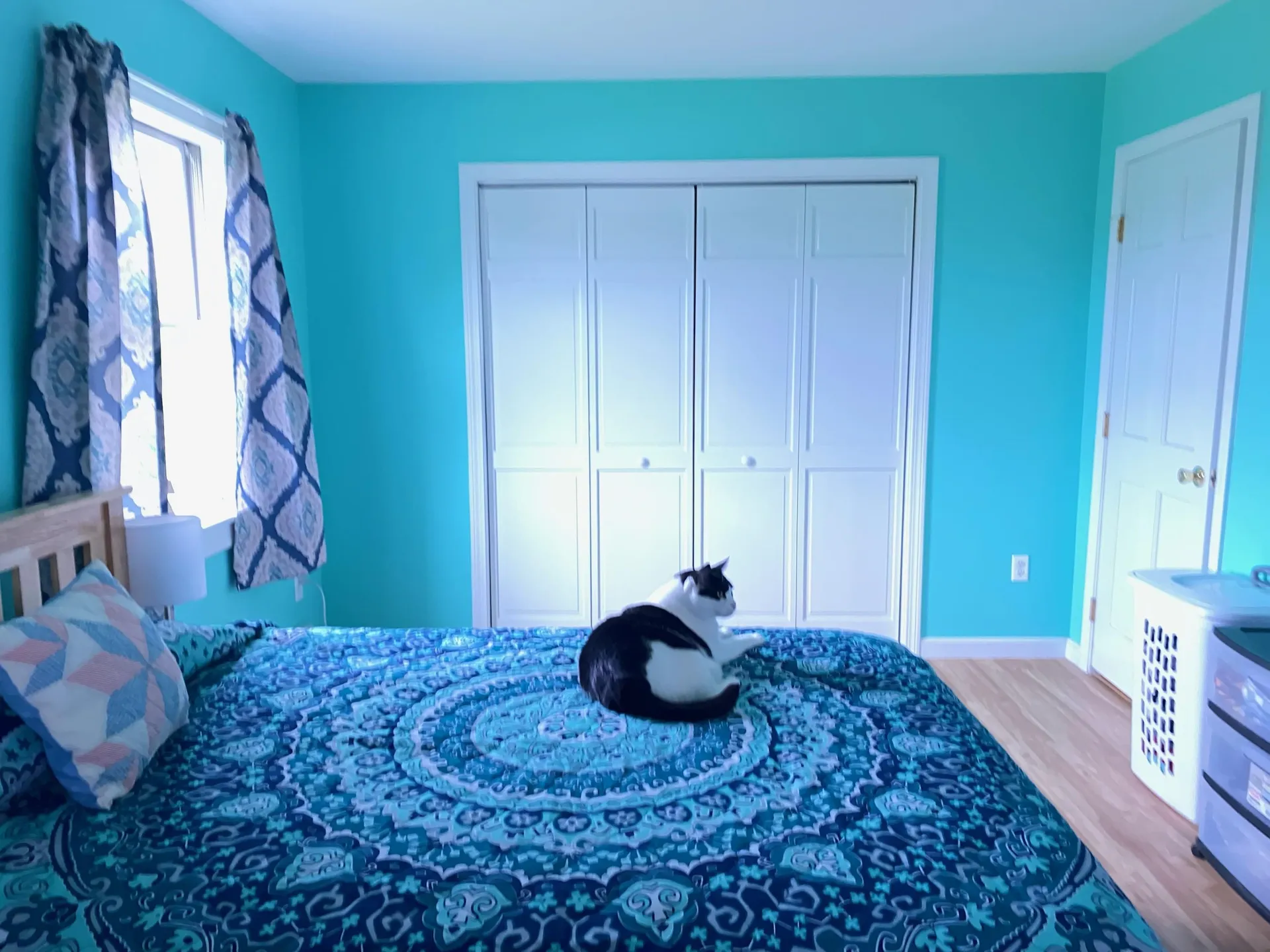 2744 Watch Point Road Shoreham VT 05770