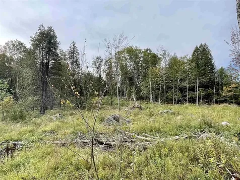 2209 Underpass Road Sutton VT 05867