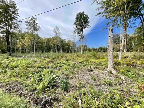 2209 Underpass Road Sutton VT 05867