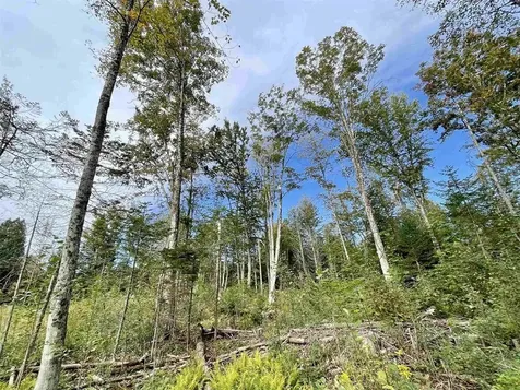 2209 Underpass Road Sutton VT 05867