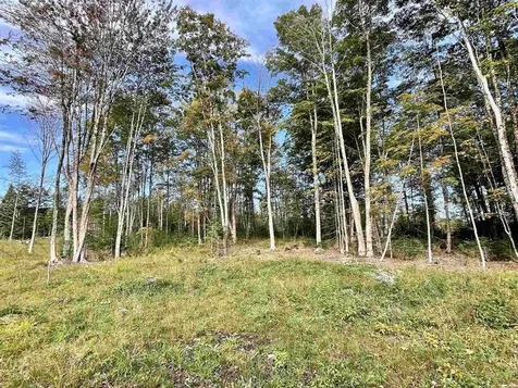 2209 Underpass Road Sutton VT 05867