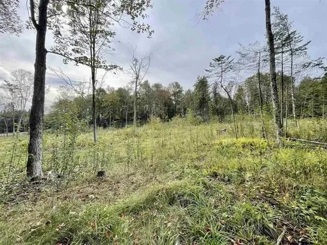 2209 Underpass Road Sutton VT 05867