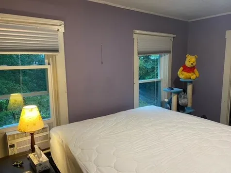 4 Hartness Avenue Springfield VT 05156