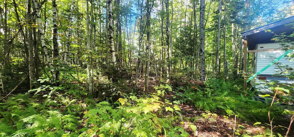 37 Raynor Road Roxbury VT 05669