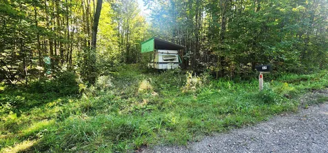 37 Raynor Road Roxbury VT 05669