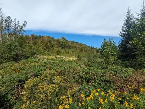 901 Keiser Pond Road Peacham VT 05862