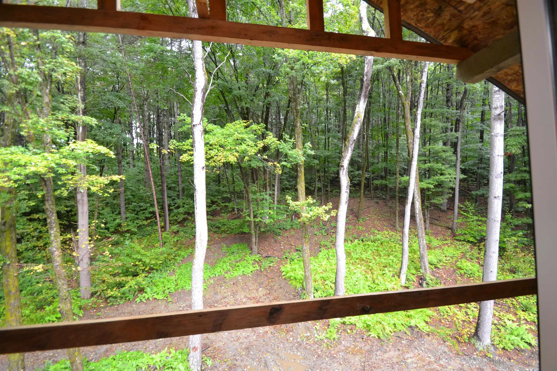 138 West Hill Extension Warren VT 05674