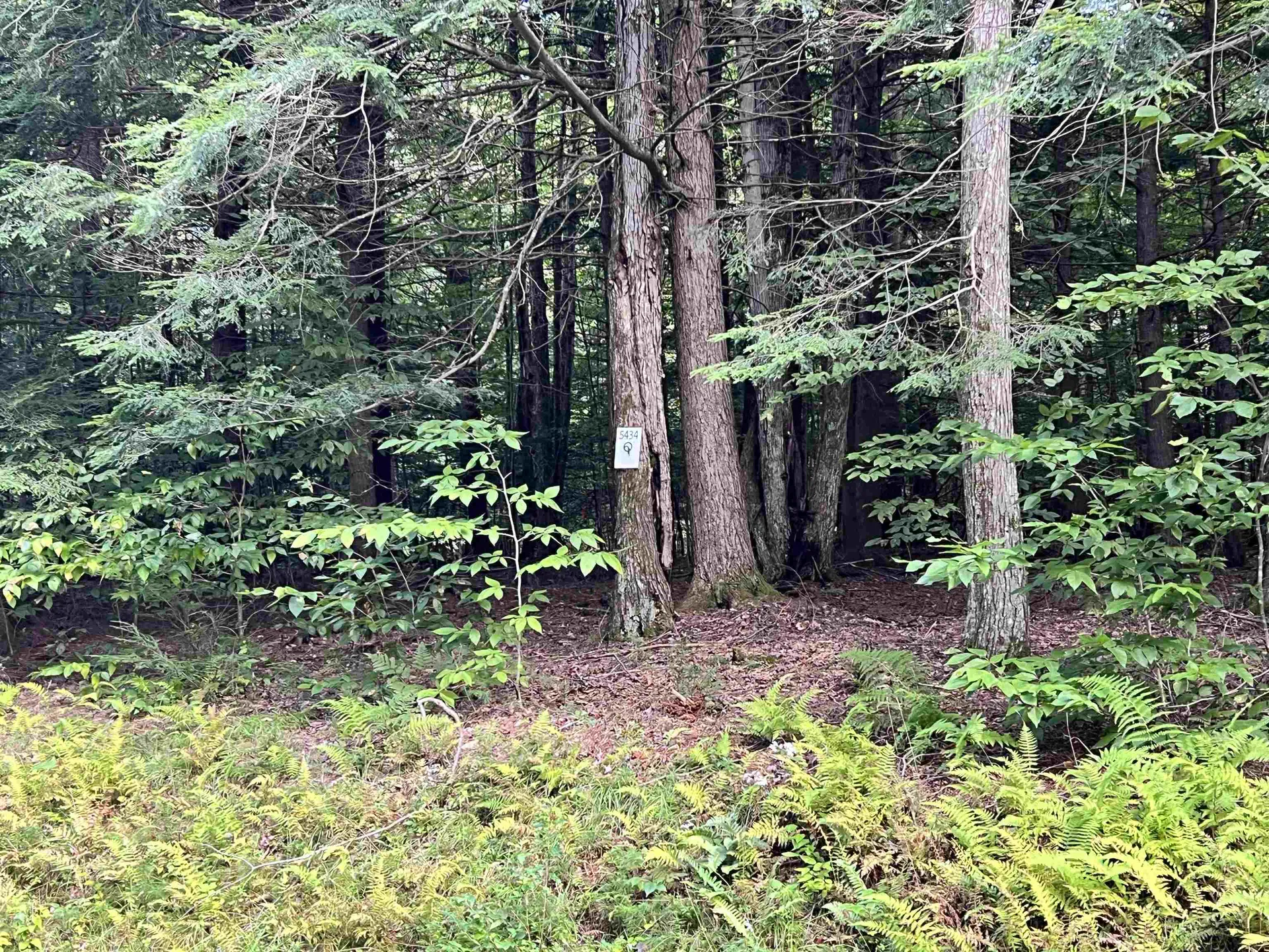 00 Bentley Road Hartford VT 05047