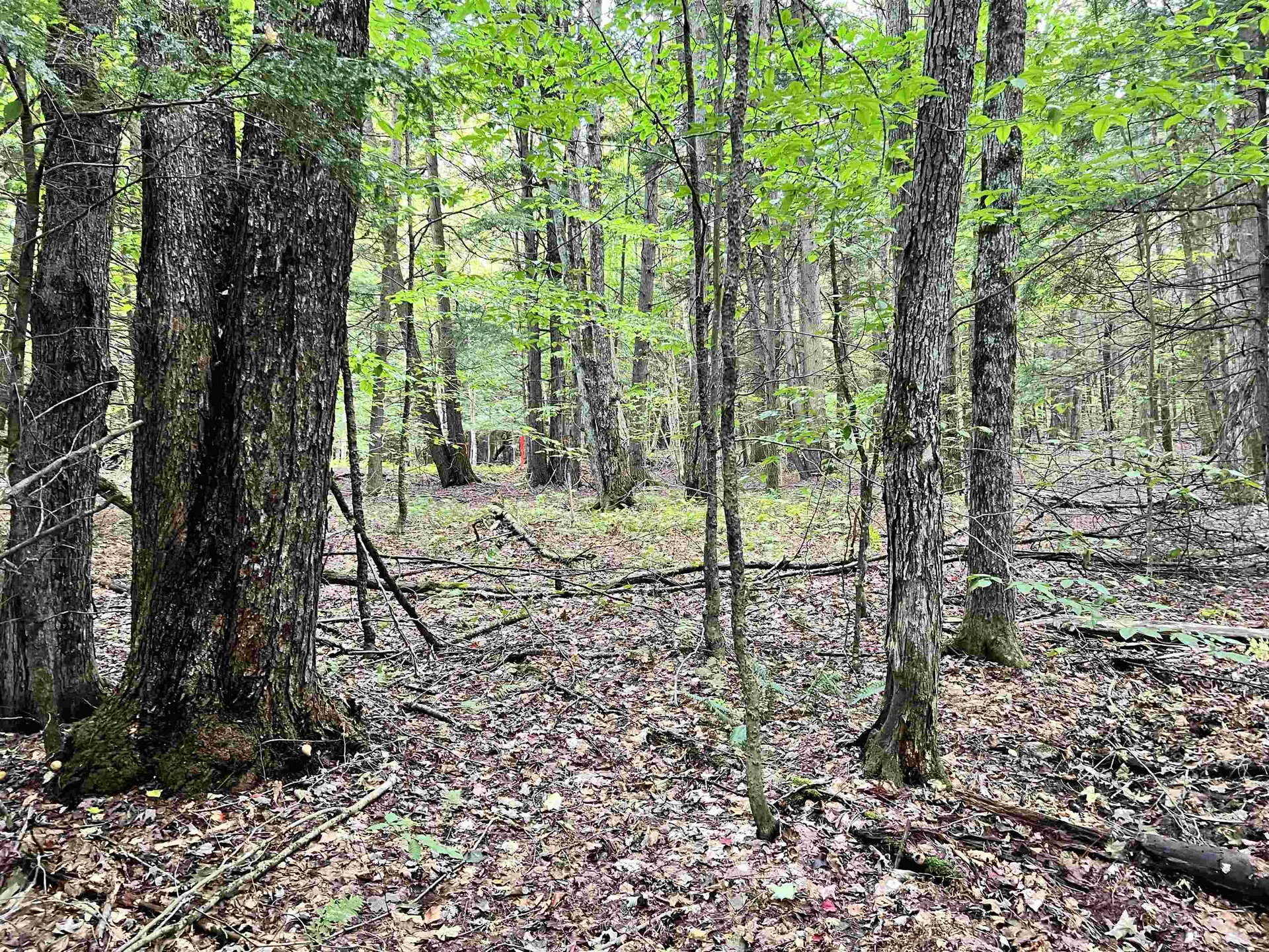 00 Bentley Road Hartford VT 05047