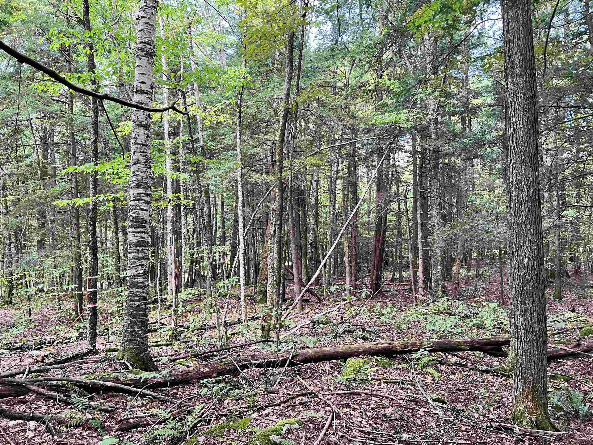 00 Bentley Road Hartford VT 05047