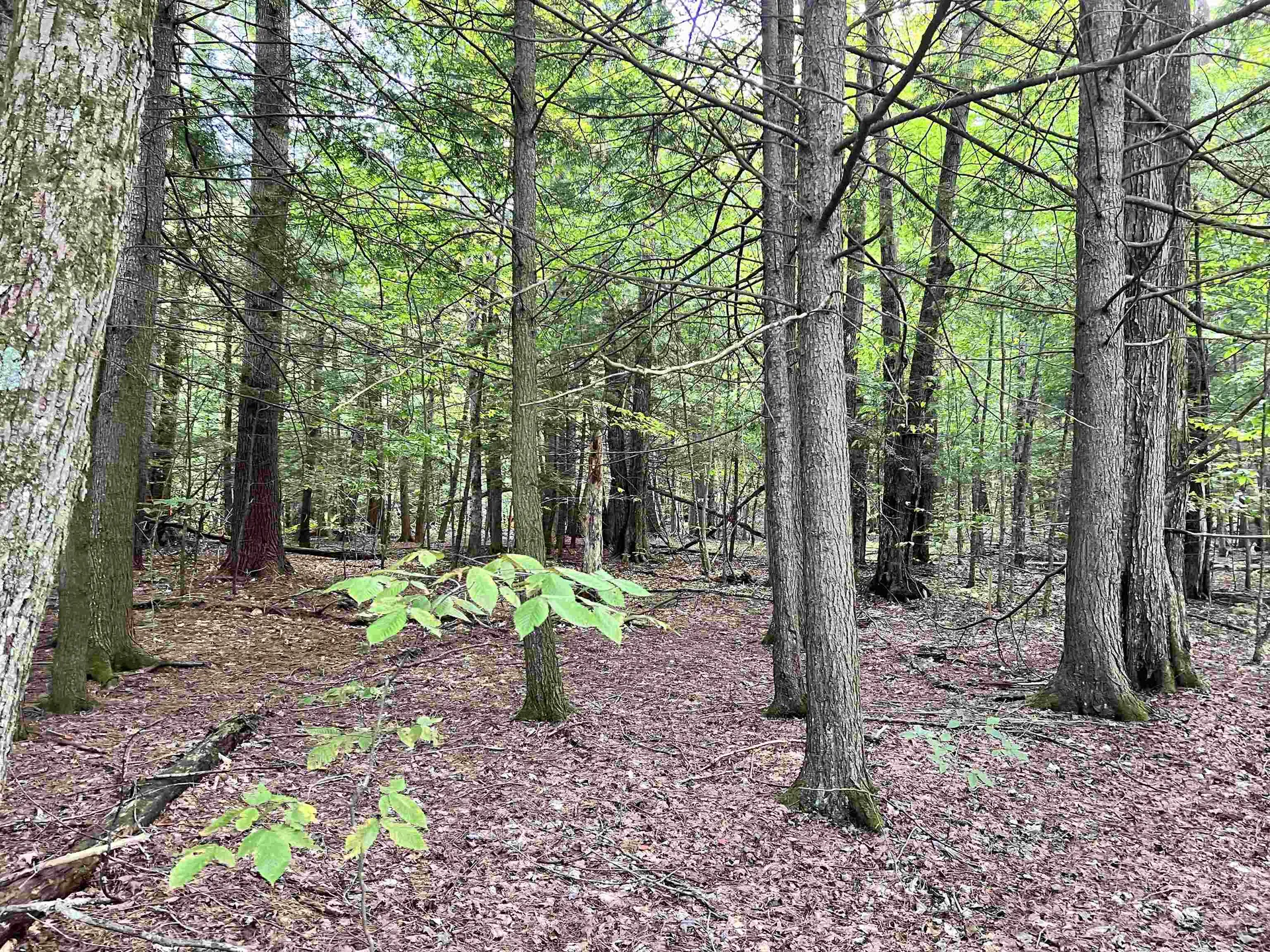 00 Bentley Road Hartford VT 05047