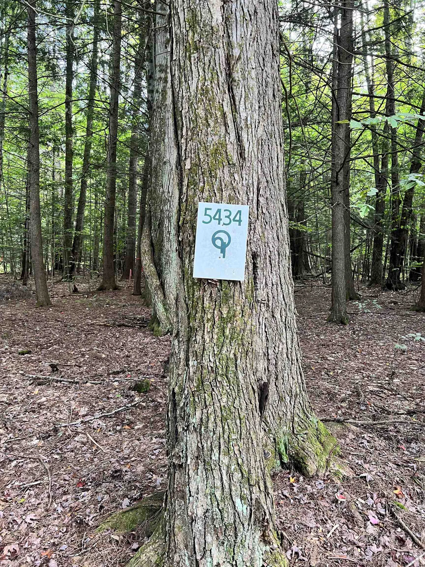 00 Bentley Road Hartford VT 05047