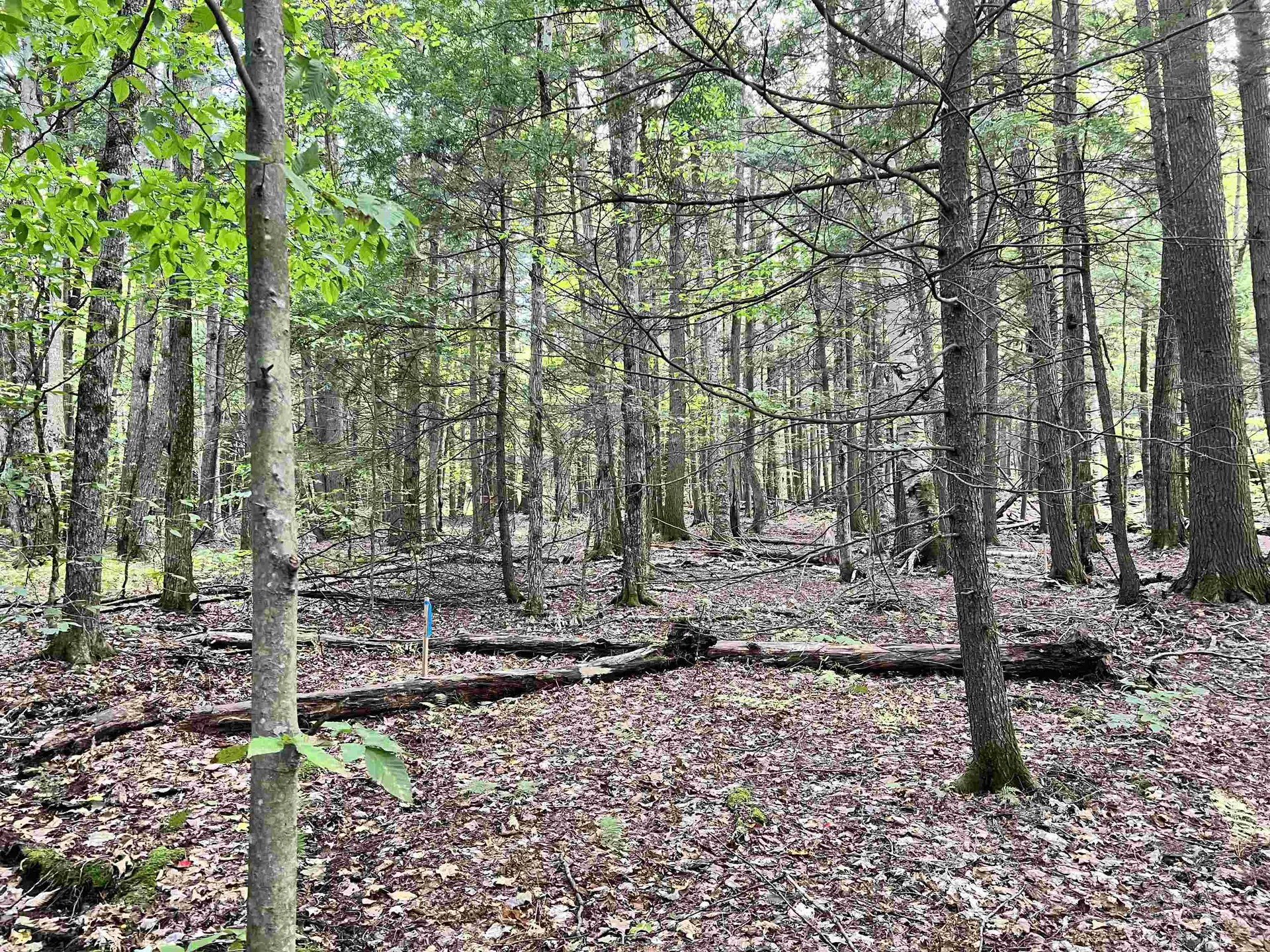 00 Bentley Road Hartford VT 05047